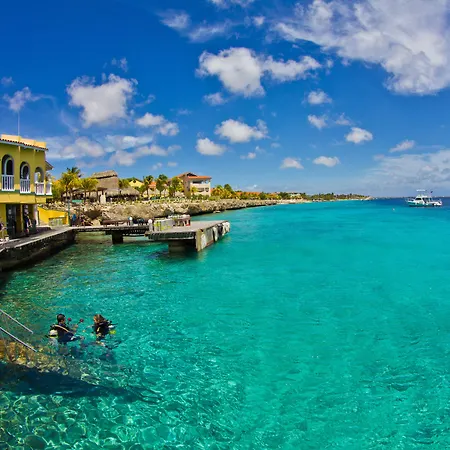 Buddy Dive Resort-2